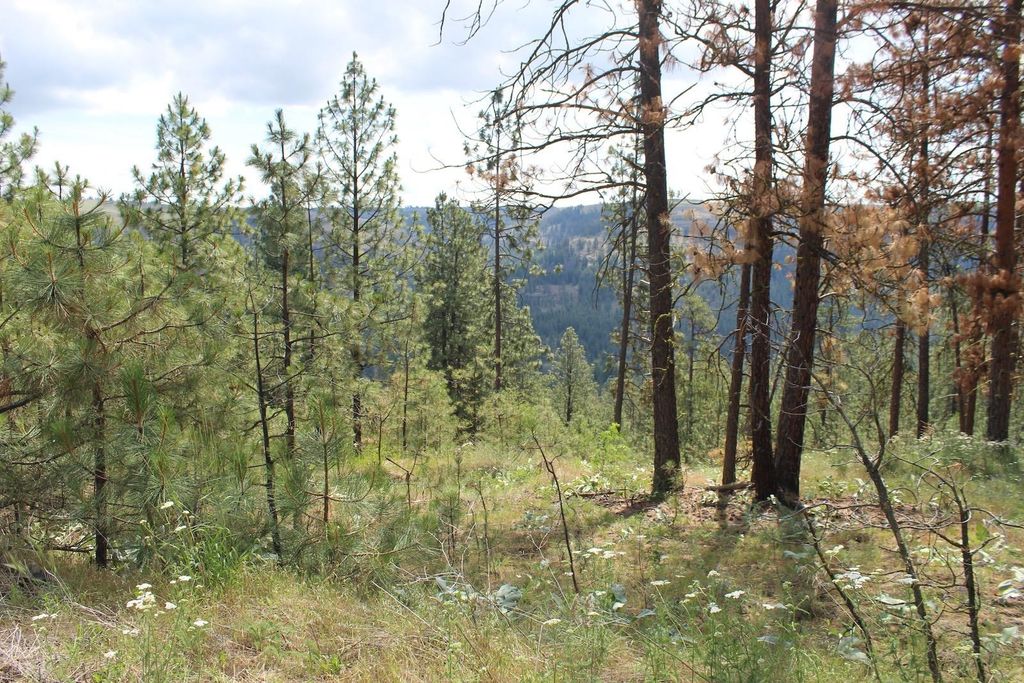 Badger Lot 1&2 Sontag Ridge Ln, Davenport, WA 99122 photo 2