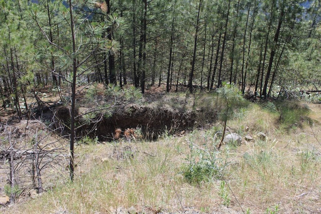 Badger Lot 1&2 Sontag Ridge Ln, Davenport, WA 99122 photo 4