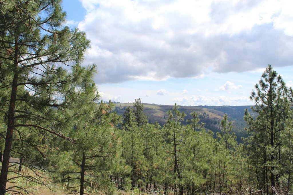 Badger Lot 1&2 Sontag Ridge Ln, Davenport, WA 99122 photo 6