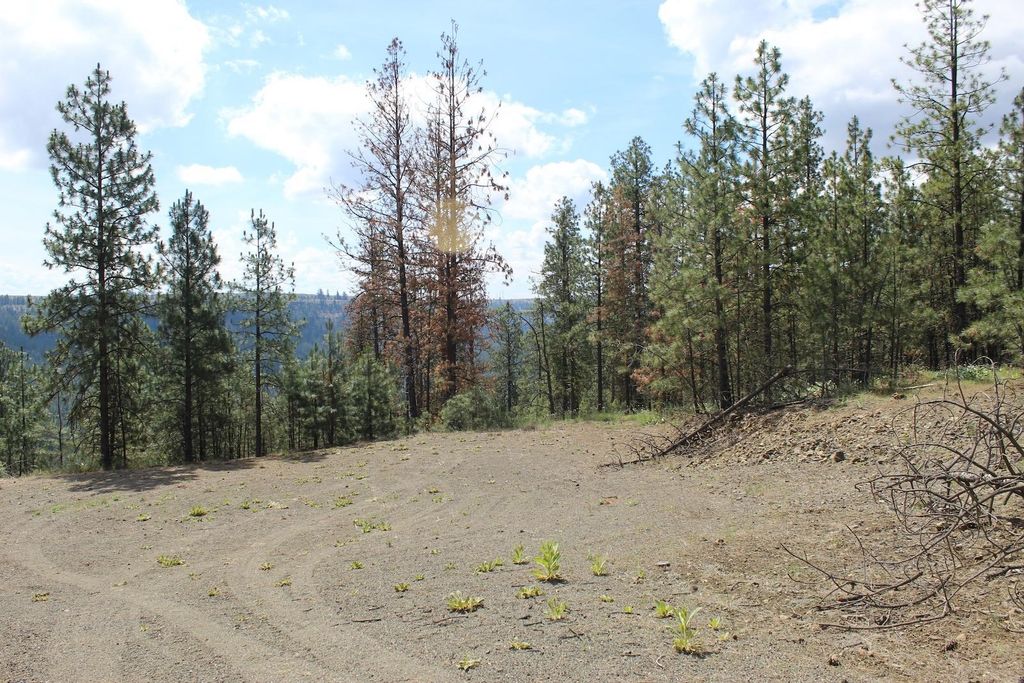 Badger Lot 1&2 Sontag Ridge Ln, Davenport, WA 99122 photo 7