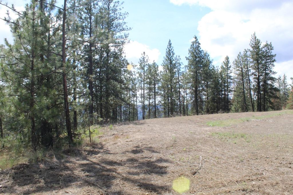 Badger Lot 1&2 Sontag Ridge Ln, Davenport, WA 99122 photo 9