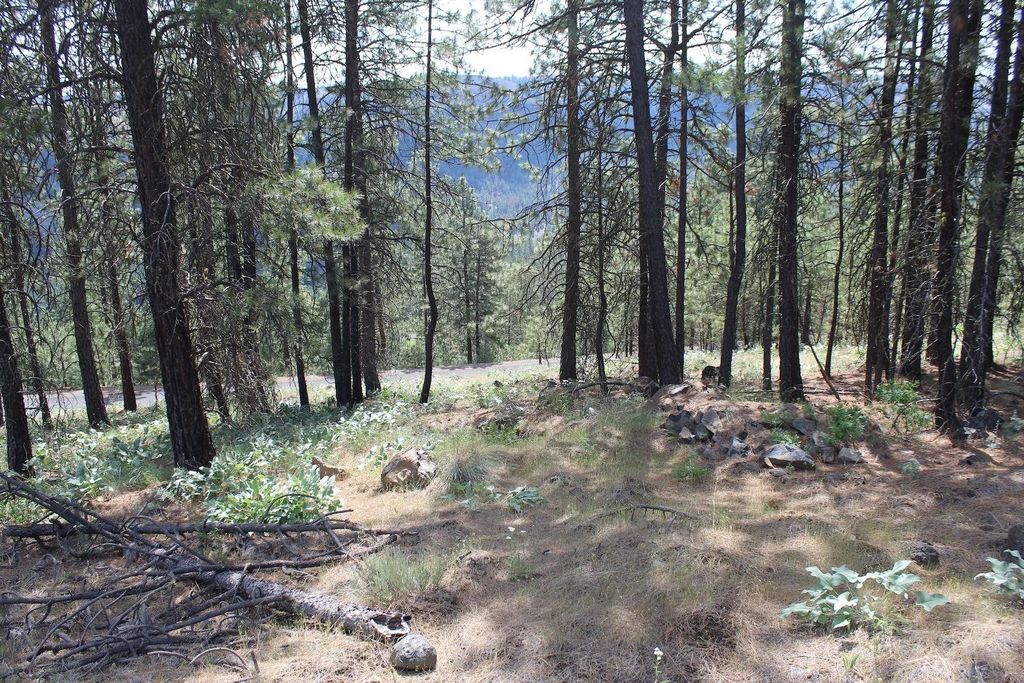 Badger Lot 1&2 Sontag Ridge Ln, Davenport, WA 99122 photo 10