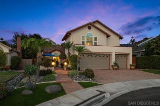 3935 San Gregorio, San Diego, CA 92130