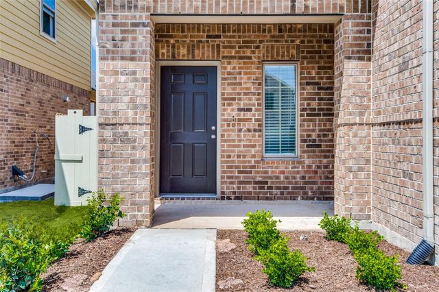 17684 Tree Of Heaven, Conroe, TX 77385