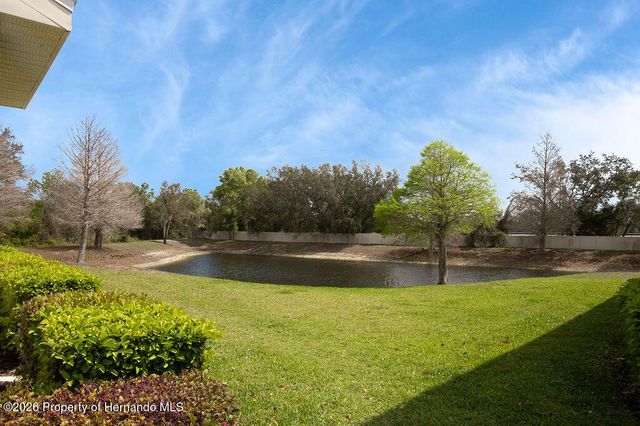 15904 Stable Run Drive, Spring Hill(pasco), FL 34610