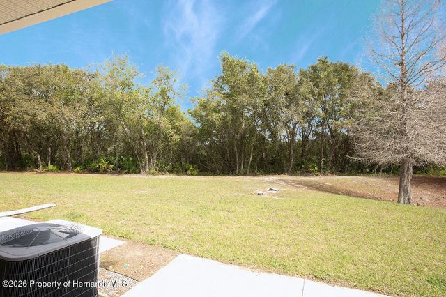 15904 Stable Run Drive, Spring Hill(pasco), FL 34610