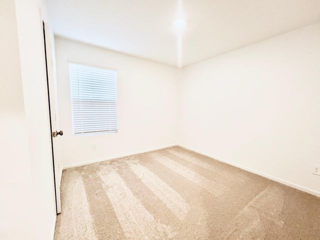 1359 Diamond Carnation Drive, Conroe, TX 77301