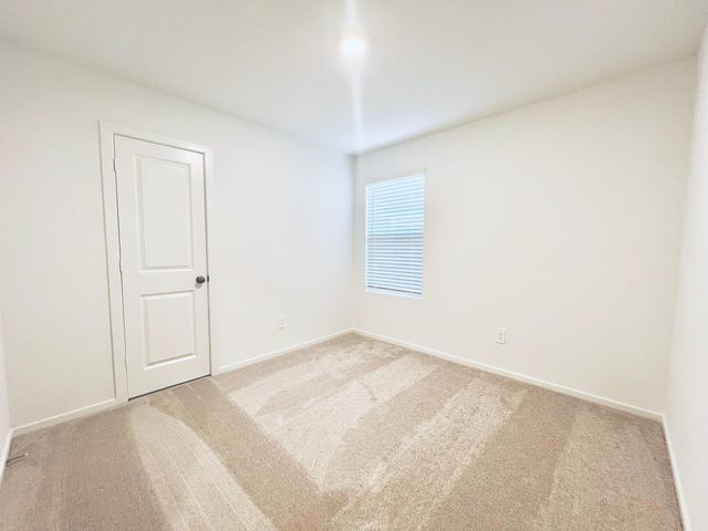 1359 Diamond Carnation Drive, Conroe, TX 77301
