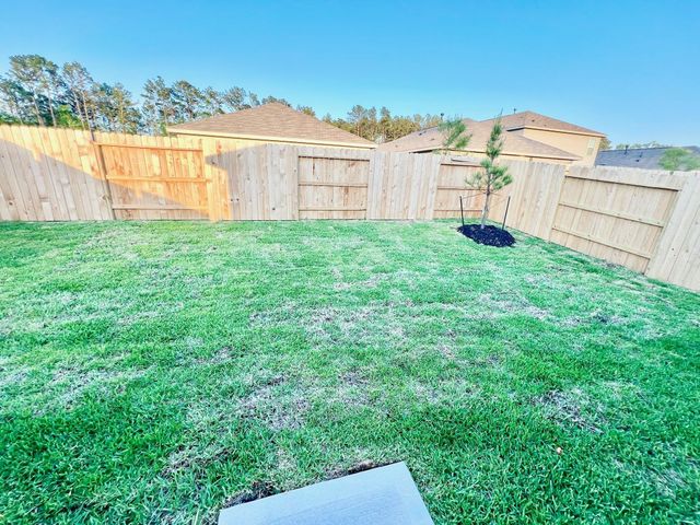 1359 Diamond Carnation Drive, Conroe, TX 77301