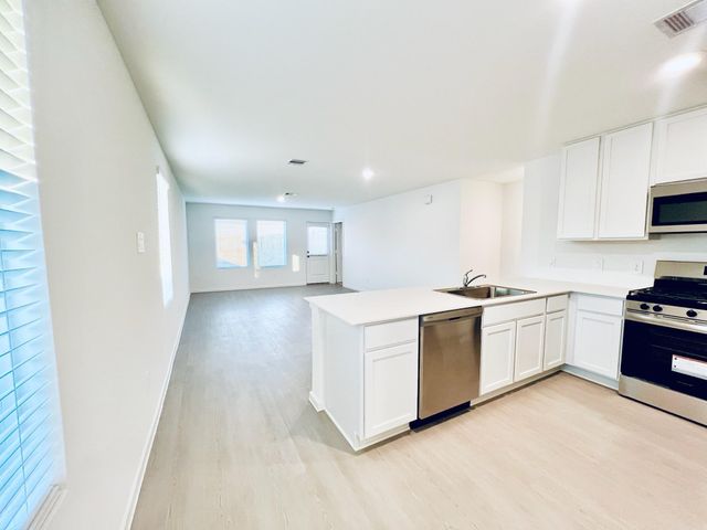 1359 Diamond Carnation Drive, Conroe, TX 77301