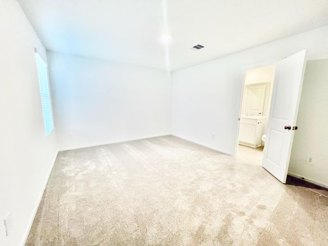 1359 Diamond Carnation Drive, Conroe, TX 77301