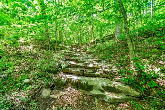 3712 Budds Creek Rd, Palmyra, TN 37142