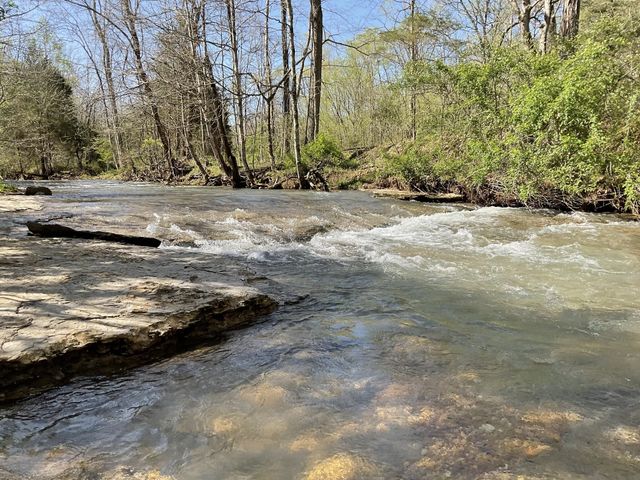 3712 Budds Creek Rd, Palmyra, TN 37142