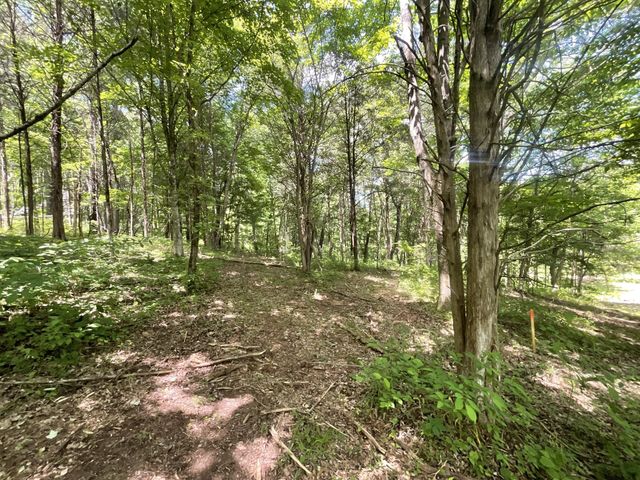 3712 Budds Creek Rd, Palmyra, TN 37142