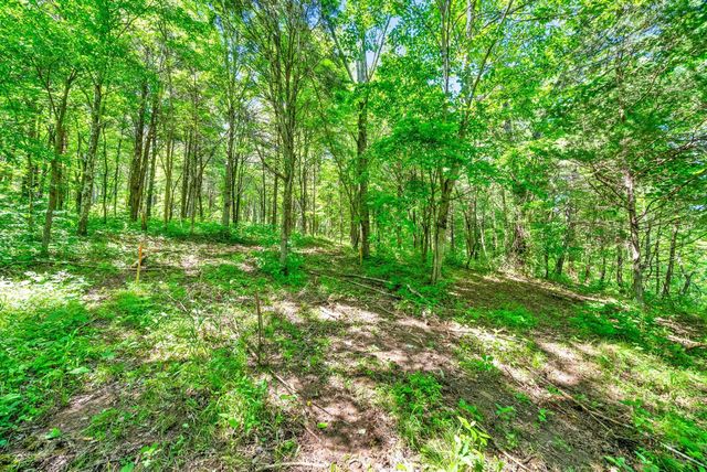 3712 Budds Creek Rd, Palmyra, TN 37142