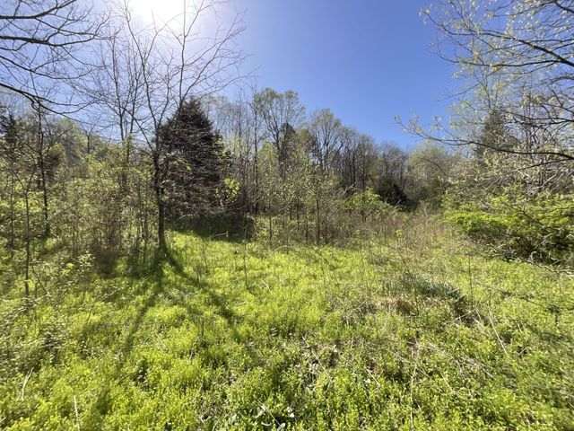 3712 Budds Creek Rd, Palmyra, TN 37142