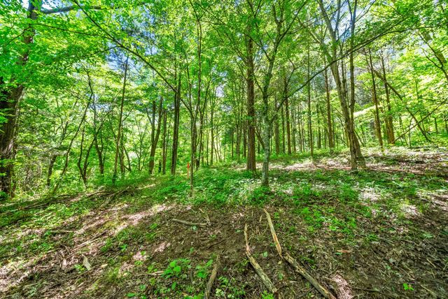 3712 Budds Creek Rd, Palmyra, TN 37142