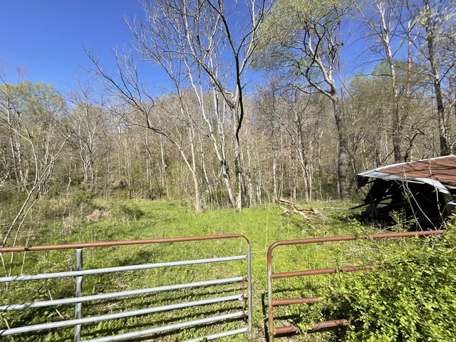 3712 Budds Creek Rd, Palmyra, TN 37142