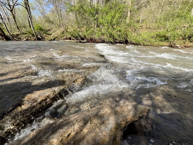 3712 Budds Creek Rd, Palmyra, TN 37142