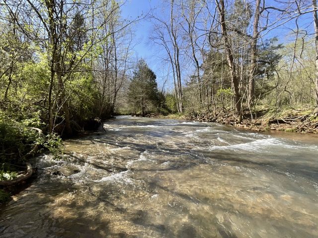 3712 Budds Creek Rd, Palmyra, TN 37142
