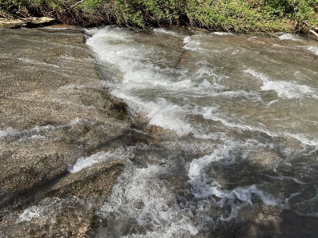 3712 Budds Creek Rd, Palmyra, TN 37142