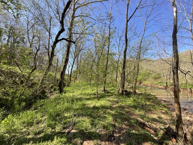 3712 Budds Creek Rd, Palmyra, TN 37142