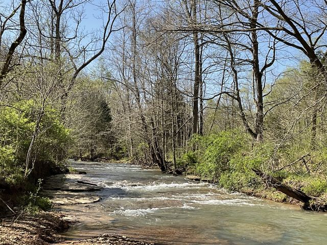3712 Budds Creek Rd, Palmyra, TN 37142