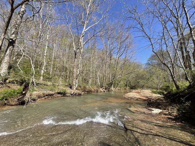 3712 Budds Creek Rd, Palmyra, TN 37142
