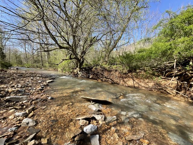 3712 Budds Creek Rd, Palmyra, TN 37142
