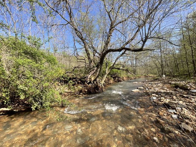 3712 Budds Creek Rd, Palmyra, TN 37142