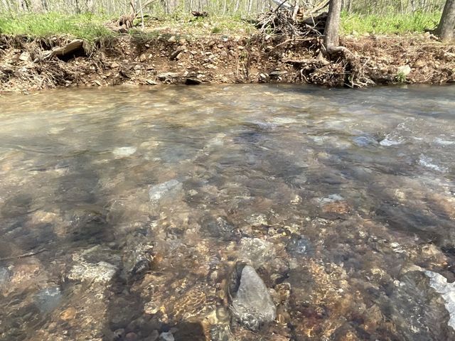 3712 Budds Creek Rd, Palmyra, TN 37142