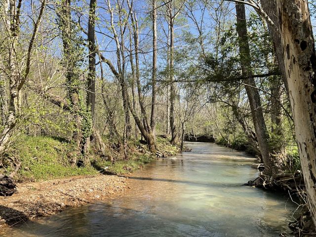 3712 Budds Creek Rd, Palmyra, TN 37142