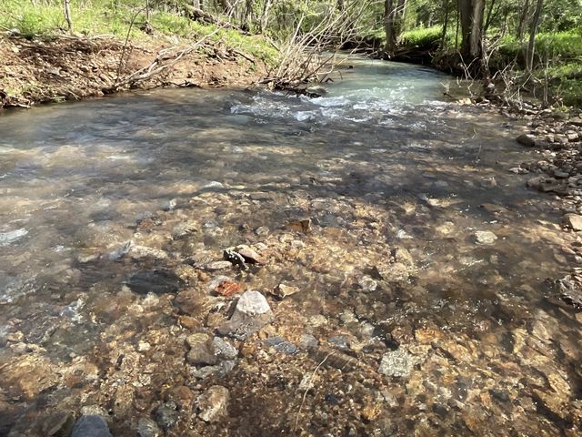 3712 Budds Creek Rd, Palmyra, TN 37142