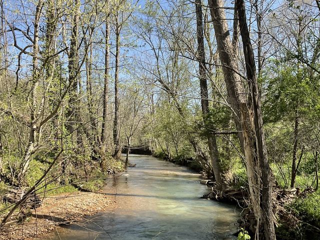 3712 Budds Creek Rd, Palmyra, TN 37142