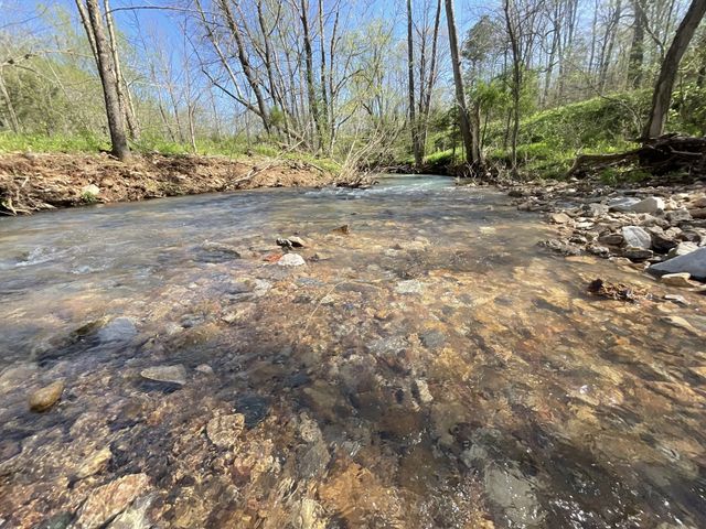 3712 Budds Creek Rd, Palmyra, TN 37142
