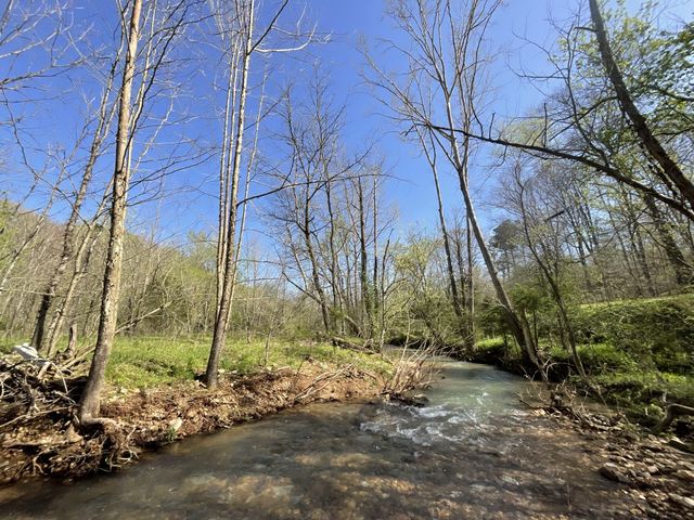 3712 Budds Creek Rd, Palmyra, TN 37142