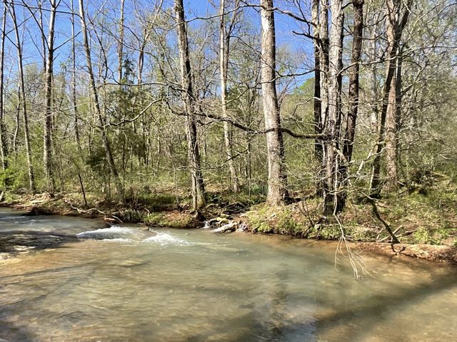 3712 Budds Creek Rd, Palmyra, TN 37142