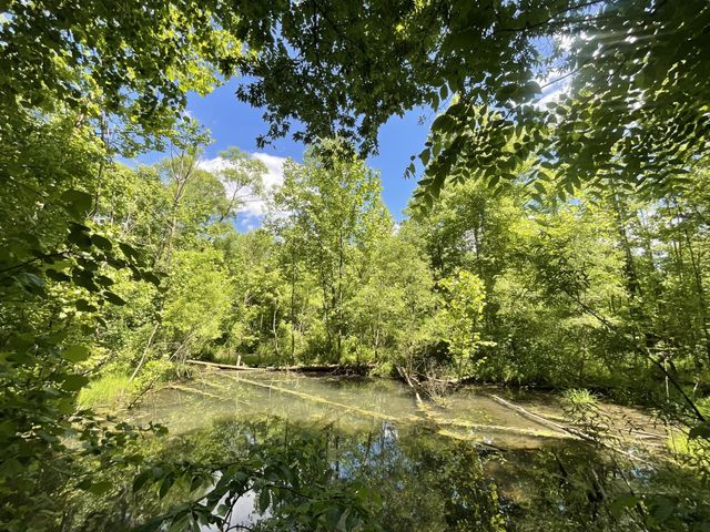 3712 Budds Creek Rd, Palmyra, TN 37142