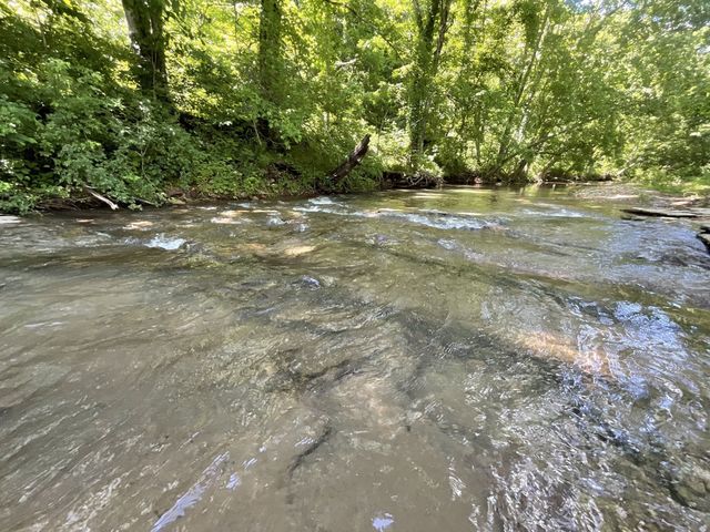 3712 Budds Creek Rd, Palmyra, TN 37142