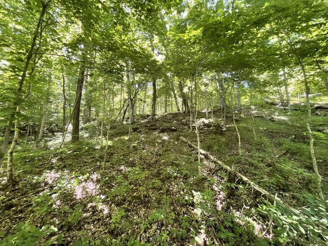 3712 Budds Creek Rd, Palmyra, TN 37142