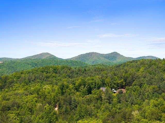 115 Mountain High Drive, Mineral Bluff, GA 30559