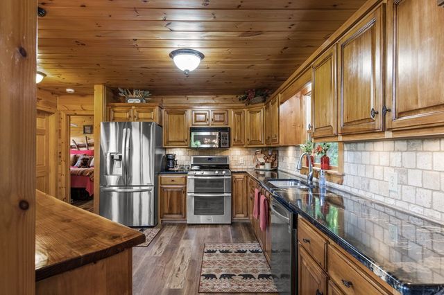 115 Mountain High Drive, Mineral Bluff, GA 30559