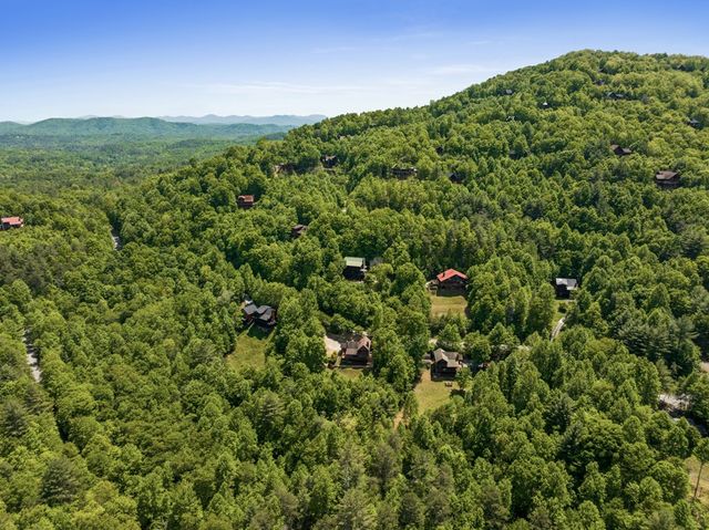 115 Mountain High Drive, Mineral Bluff, GA 30559