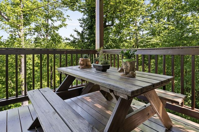115 Mountain High Drive, Mineral Bluff, GA 30559