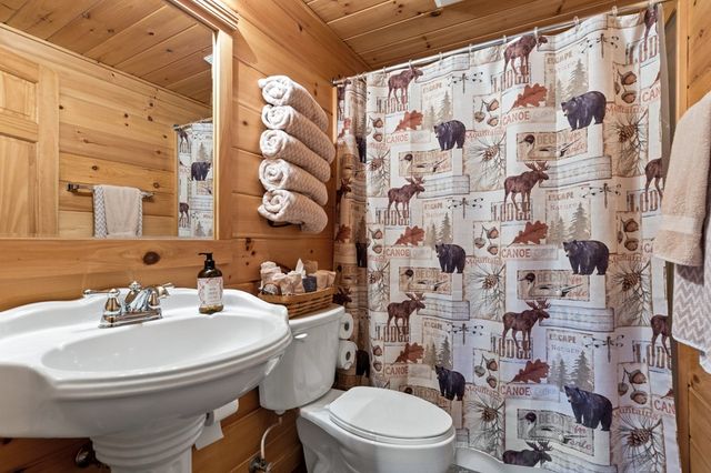 115 Mountain High Drive, Mineral Bluff, GA 30559