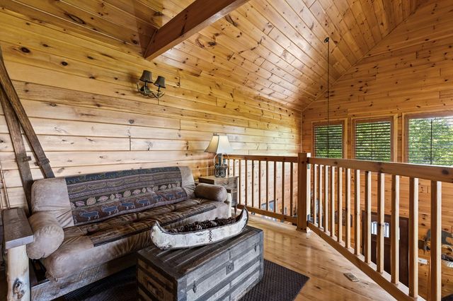 115 Mountain High Drive, Mineral Bluff, GA 30559
