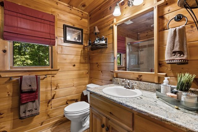 115 Mountain High Drive, Mineral Bluff, GA 30559