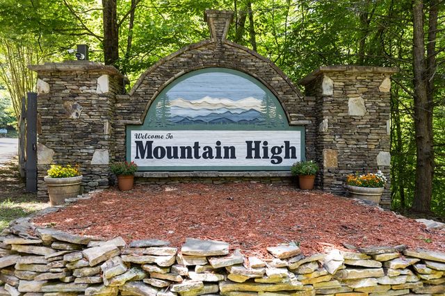 115 Mountain High Drive, Mineral Bluff, GA 30559