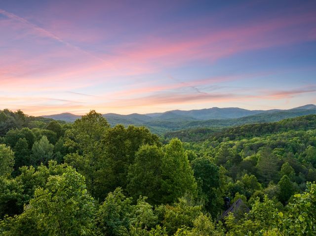 115 Mountain High Drive, Mineral Bluff, GA 30559