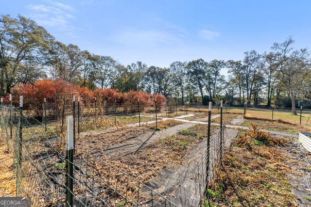 670 S Railroad Avenue, Carlton, GA 30627